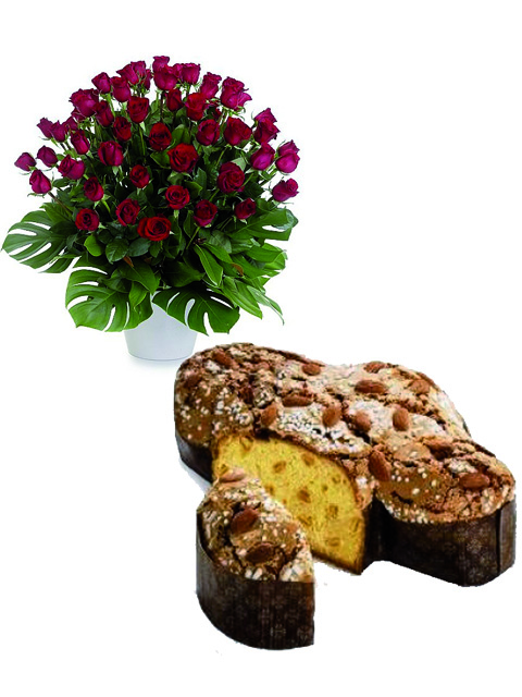 Colomba e 50 rose rosse